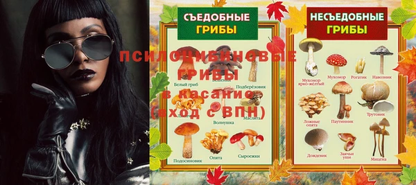 стафф Арсеньев